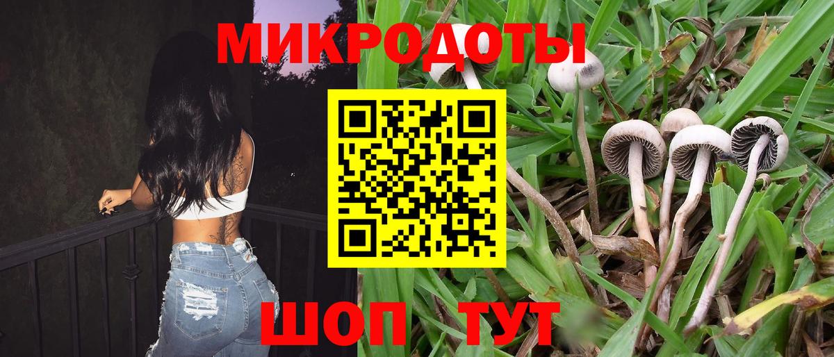 Псилоцибиновые грибы прущие грибы  Вход с VPN  закладки  Галлюциногенные грибы MAGIC MUSHROOMS  Краснознаменск 